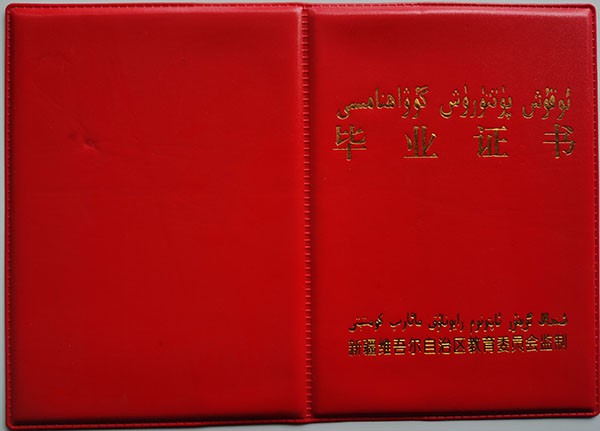 208337caec24009f7a89dd37871117f9.jpg